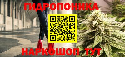 винт Канаш