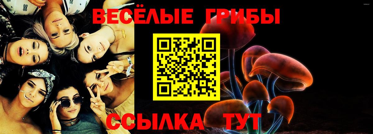 Псилоцибиновые грибы Cubensis Дедовск